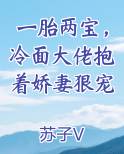 一胎两宝，冷面大佬抱着娇妻狠宠