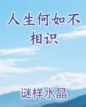人生何如不相识