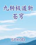 九转极道斩苍穹