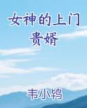 女神的上门贵婿