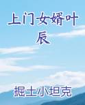 上门女婿叶辰