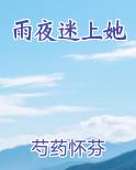 夜雨迷离小说_