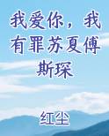 我爱你，我有罪苏夏傅斯琛