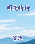 明花暗柳