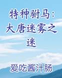 特种驸马：大唐迷雾之迷