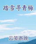 踏雪寻青梅