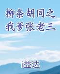 柳条胡同之我爹张老三