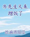 齐先生又来蹭饭了