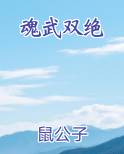 魂武双修百度百科