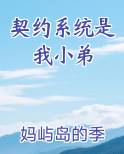 契约系统是我小弟