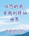 社恐的我，穿越到修仙世界免费阅读笔趣阁