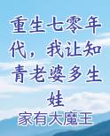 重生七零年代，我让知青老婆多生娃
