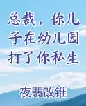 总裁，你儿子在幼儿园打了你私生