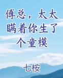 傅总，太太瞒着你生了个童模