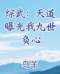 综武：天道曝光我九世负心