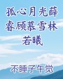 孤心月光薛睿顾慕雪林若曦