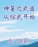 神墓之武道从综武开始