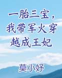 一胎三宝，我带军火穿越成王妃