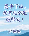 高手下山，我有九个无敌师父！在线阅读小说