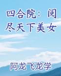 四合院：阅尽天下美女小说排行榜