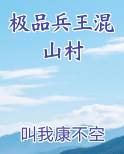 极品兵王混山村