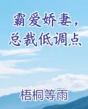 霸爱娇妻，总裁低调点