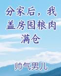 分家后，我盖房囤粮肉满仓