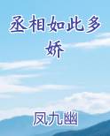 丞相如此多娇