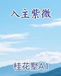 入主紫微