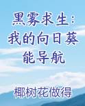 黑雾求生：我的向日葵能导航