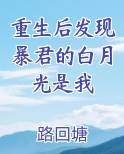 重生后发现暴君的白月光是我