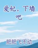 爱妃，下墻吧