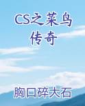 CS之菜鸟传奇