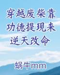 穿越废柴靠功德提现来逆天改命