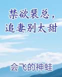 禁欲裴总，追妻别太甜小说推荐