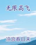 无限高飞排行榜完结版