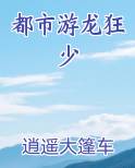 都市游龙狂少