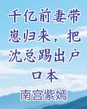 千亿前妻带崽归来，把沈总踢出户口本