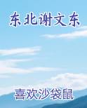 东北谢文东