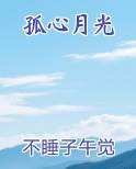 孤心月光