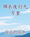 锦衣夜行九万里排行榜