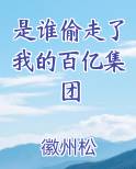 是谁偷走了我的百亿集团的钱