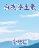 白夜浮生录