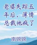老婆失踪五年后，薄情总裁他疯了