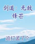 剑道：无敌锋芒小说全集