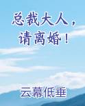 总裁大人，请离婚！