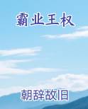 霸业王权