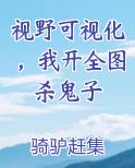 视野可视化，我开全图杀鬼子