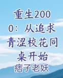 重生2000：从追求青涩校花同桌开始