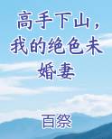 高手下山，我的绝色未婚妻